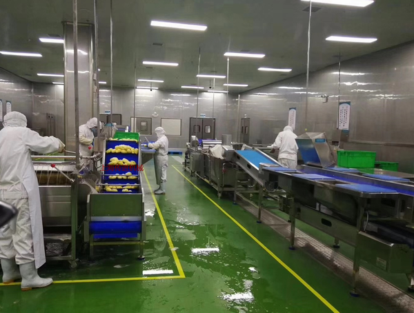 中央廚房配餐流水線